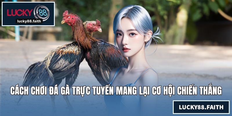 Cách Chơi Đá Gà Trực Tuyến Mang Lại Cơ Hội Chiến Thắng Khủng